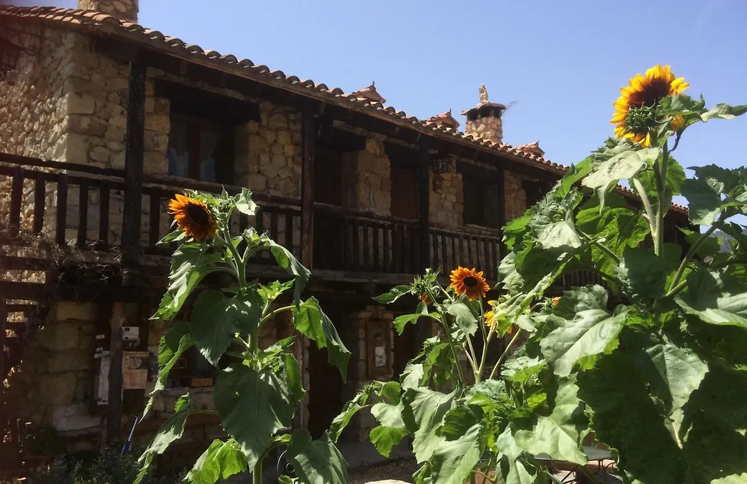 Casas Rurales Chon Alto Tajo-1