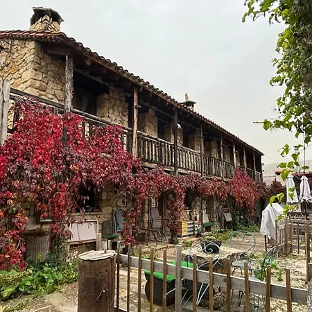 Casas Rurales Chon Alto Tajo-3