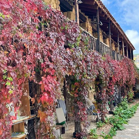 Casas Rurales Chon Alto Tajo-2